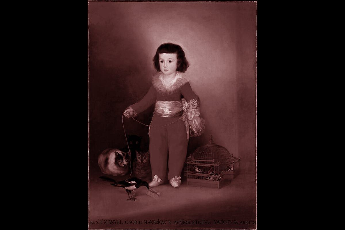 Portada del archivo: Manuel Osorio Manrique de Zuñiga (1784–1792), de Goya (Francisco de Goya y Lucientes)
